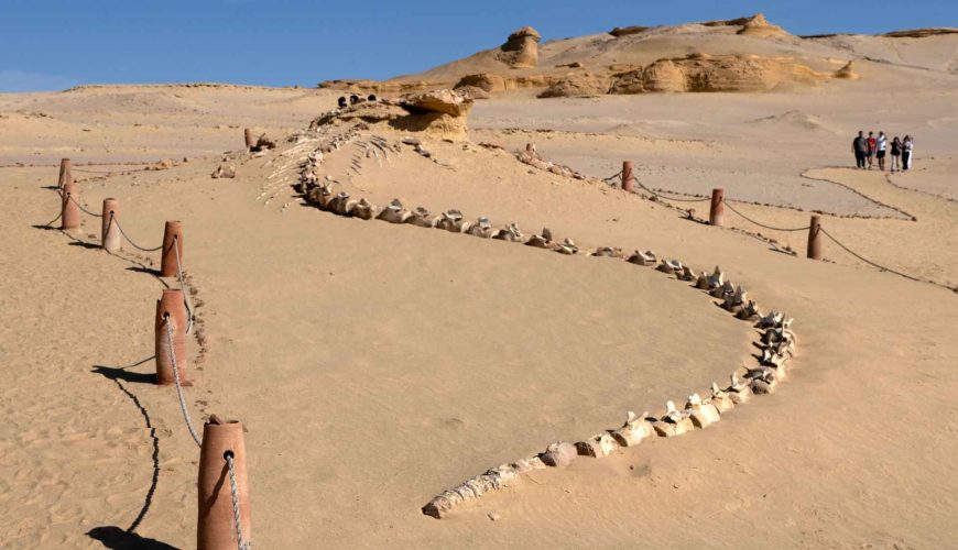 Wadi al Hitan