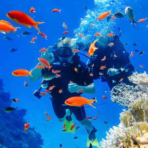 Egypt Diving