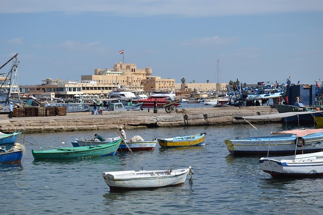 Alexandria City