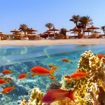 Egyptian Red Sea
