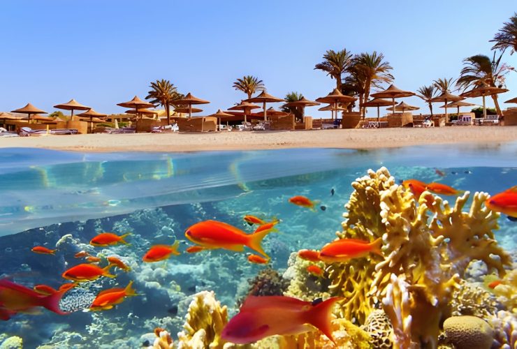 Egyptian Red Sea