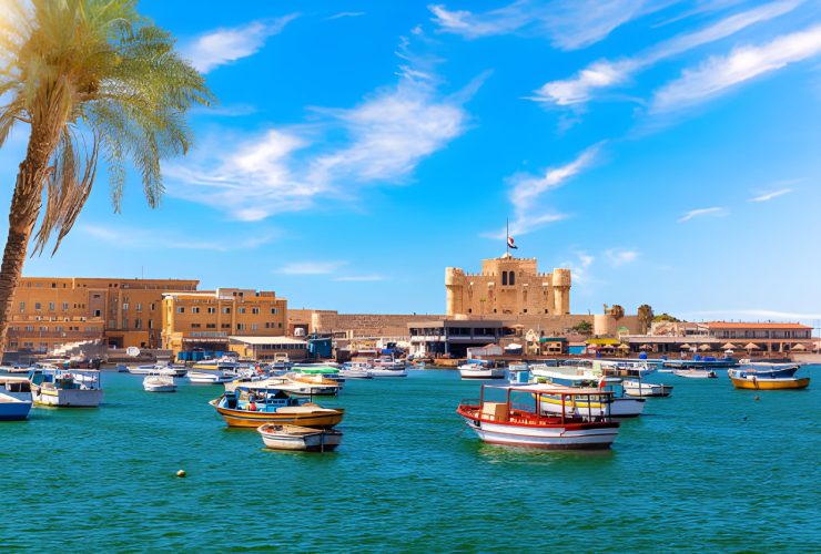 What to do in Alexandria?